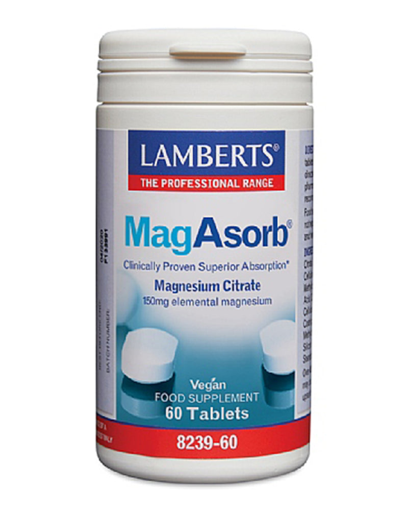 Lamberts Magasorb * 60