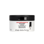 DIEGO DALLA PALMA LISCIO SPAGHETTO SMOOTHING MASK 250ML NEW