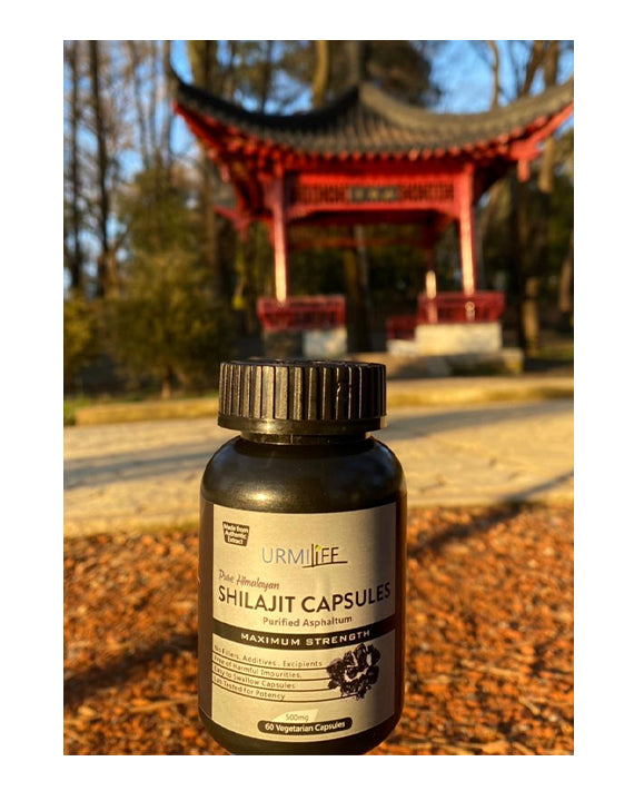 Shilajit Capsules Purified Asphaltum * 60