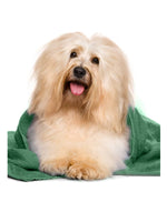 D.Dog Detangling Conditioner 250 ML