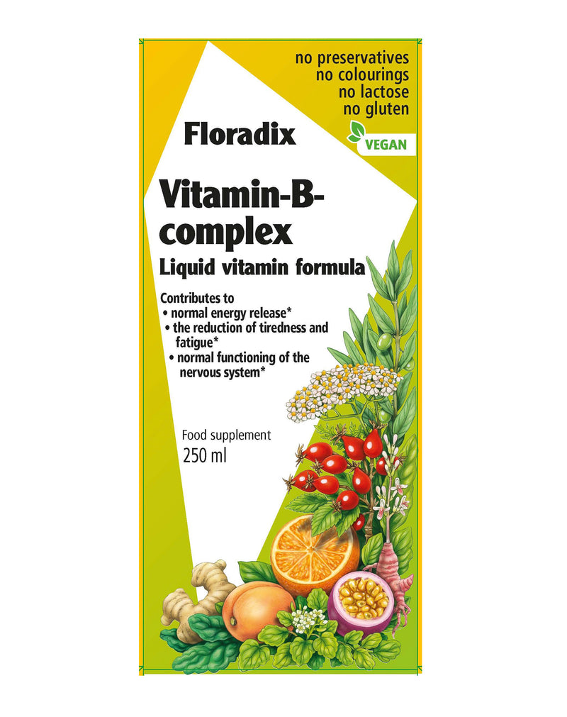 Floradix Vitamin B Complex * 250 ML