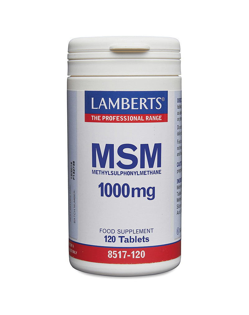 Lamberts MSM 1000 MG * 100